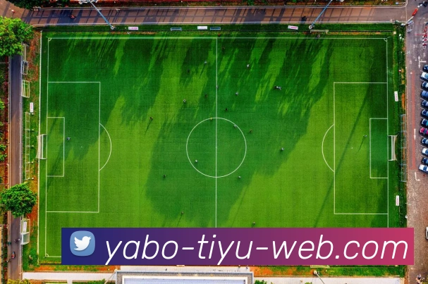 亚博体育服务体系